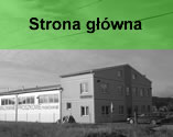 strona główna